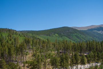 Fototapeta na wymiar Landscape of tree covered mountain side in Winter Park, Colorado in summer