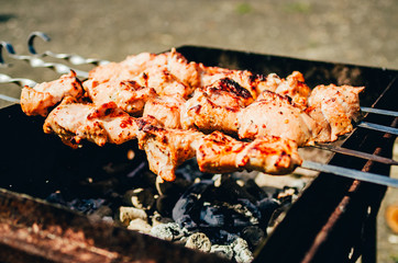 shish kebab on skewer