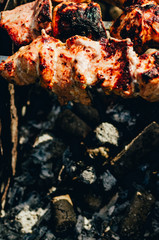 shish kebab on skewer