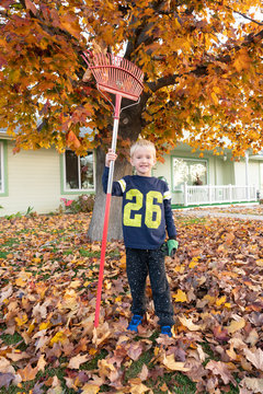 Community volunteers raking autumn leaves