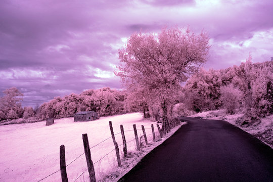 Rural Scene in Infrared Light