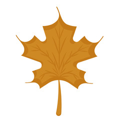 Isolated autumn leaf on a white background - Vector