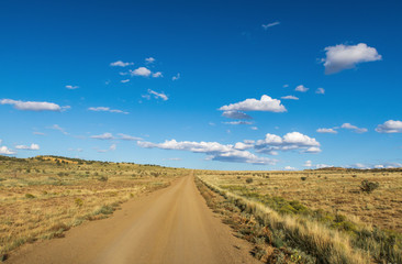 Fototapeta na wymiar Desert landscape of a dirt road and a few clouds on a sunny day in New Mexico