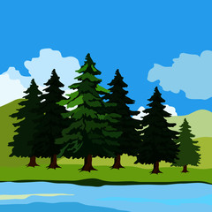 Fototapeta premium landscape image, fir trees, horizon