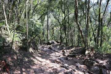 Parque Estadual do Caracol (Caracol Park), is a Brazilian conservation unit and its splendid landscape makes it one of the most visited tourist spots in southern Brazil.