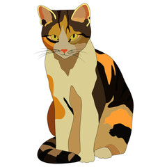 drawing of a cat, isolate on a white background