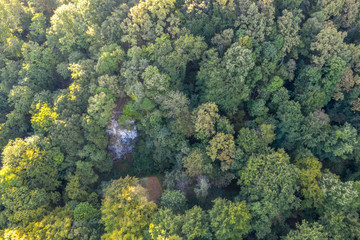 Naklejka premium Forest near Daruvar from the air