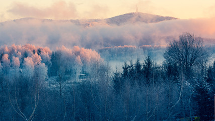 Frosty, foggy sunrise in the 