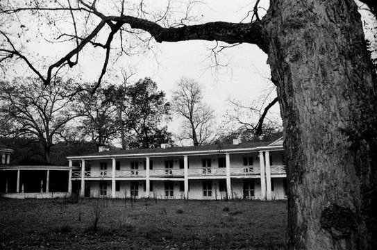 Haunted Hotel And Tree