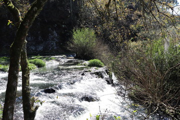 Parque Estadual do Caracol (Caracol Park), is a Brazilian conservation unit and its splendid landscape makes it one of the most visited tourist spots in southern Brazil.