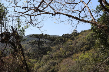 Parque Estadual do Caracol (Caracol Park), is a Brazilian conservation unit and its splendid landscape makes it one of the most visited tourist spots in southern Brazil.