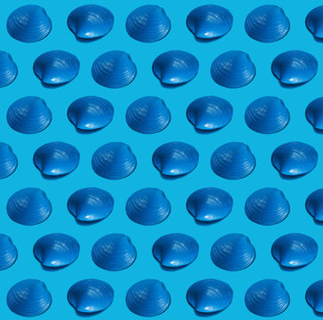 Blue Seashell Pattern on Blue