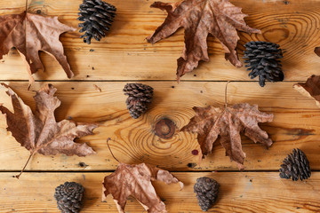 Fall or Autumn background. Autumnal season concept. Dry fall leaves and pine tree cones on wooden board.