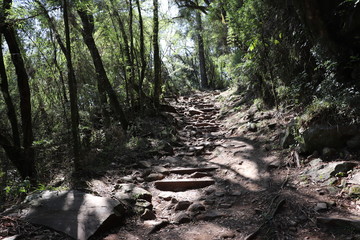 Parque Estadual do Caracol (Caracol Park), is a Brazilian conservation unit and its splendid landscape makes it one of the most visited tourist spots in southern Brazil.