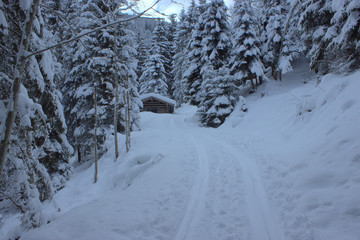 Winterromantik im verschneitem Wald.