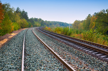 Obraz premium Train tracks view with forest.