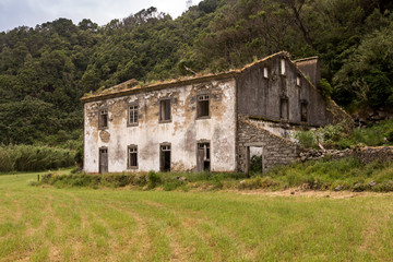 Fototapeta na wymiar Abandoned house, meadow and forest