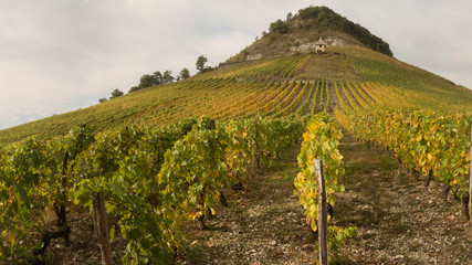 Vignes et vignobles du Bugey