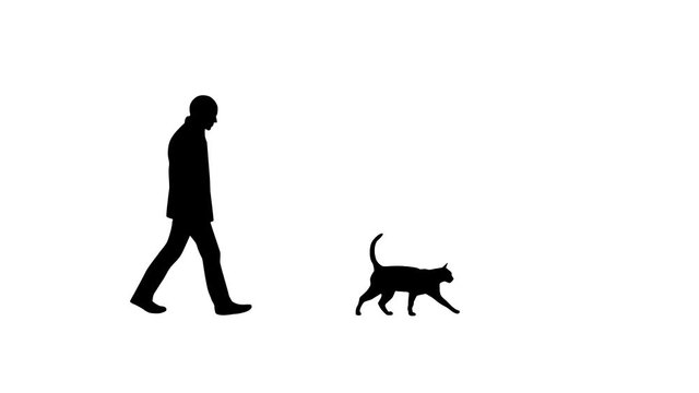 Man walking with a cat, animation on the white background