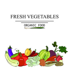 fresh vegetables, autumn harvest, healthy food. hand drawing: pumpkin, pepper, beetroot, potato, cabbage, zucchini, eggplant, corn, carrots, peas, onions. Use for restaurant, menu, grocery, market, pa