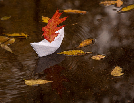 A paper boat floats in a puddle, an oak leaf instead of a sail, around the fallen autumn leaves lie.