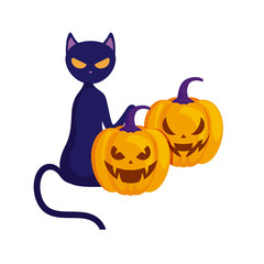 halloween pumpkins with cat isolated icon