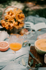Sunny picnic in the park on the Summer day. Blanket for the picnic. Fresh food and orange juice on a blanket. Summer fun time in the park