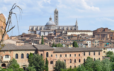 Fototapeta premium Paisaje de ciudad de Siena, Florencia Italia