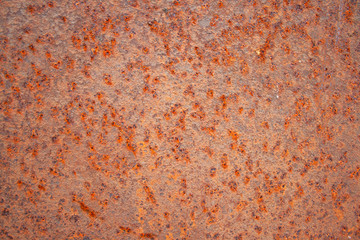 Metal surface completely corroded by the oxide with very affected areas forming a spectacular background image