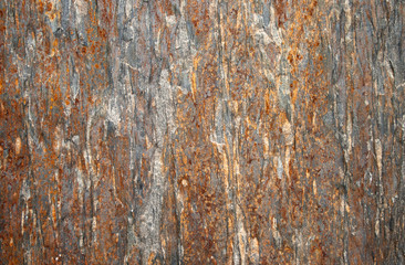 Abstract background of the surface of a stone called Portuguese with iron ore strokes making surreal shapes