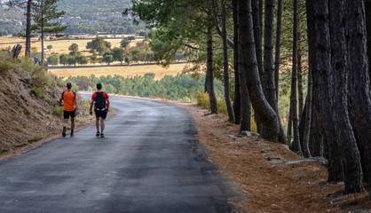 Two men hiking on a mountain road overlooking a field with trees