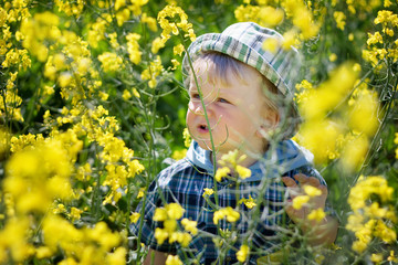 Little boy among the fflowers on a sunny day