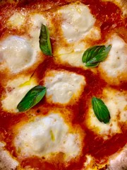 Close up of a pizza with buffalo mozzarella and basil served at a restaurant. No people