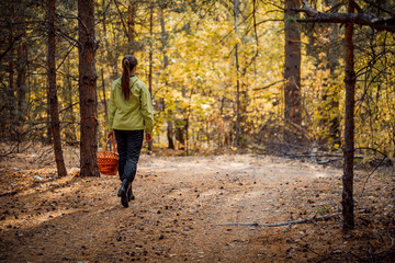 Obraz premium Beautiful girl in the autumn forest to gather mushrooms. Stay in the fresh air.