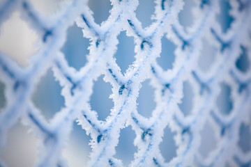 Frozen fence made of metal mesh covered with snowy hoarfrost, winter day. Winter snow texture.
