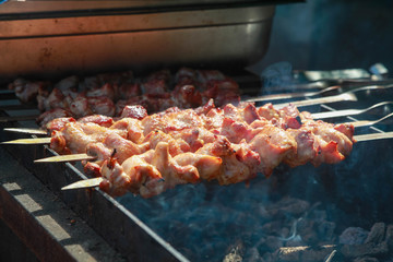 Juicy pork kebab is cooked on the coals.