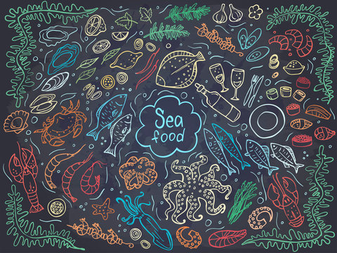 Set of colorful seafood on chalckboard. Vector illustration. Perfect for menu or food package design.