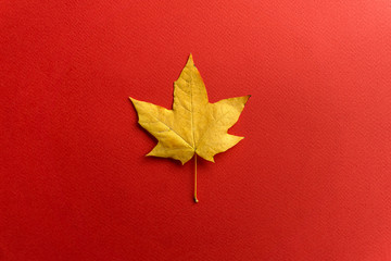Fall background. Fall leaves on a red background