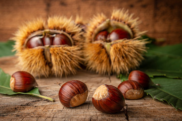 Sweet Chestnuts - Castanea sativa on an old wooden table