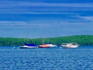 Obraz premium Boats on water