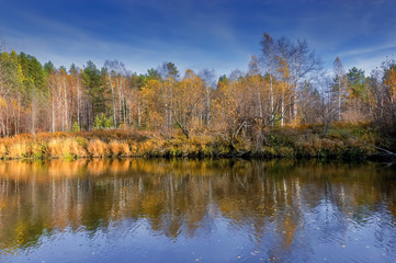 Autumn landscape on the banks of a forest river on a sunny warm day.