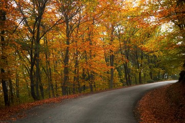 Autumn in the mountain Pagaio Greece