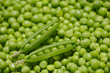 Erbsen