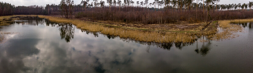 reflections in water