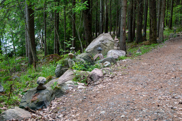 Forest path, Rautalahti village, Pitkäranta district, Republic of Karelia, Russian Federation