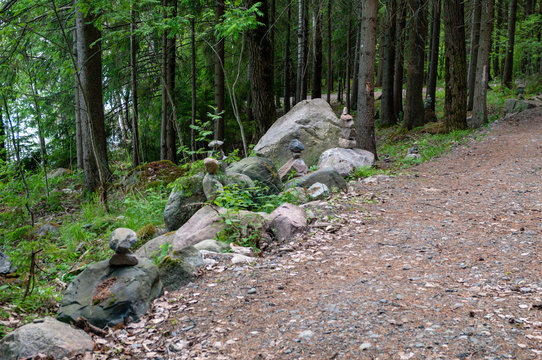 Forest path, Rautalahti village, Pitk&auml;ranta district, Republic of Karelia, Russian Federation
