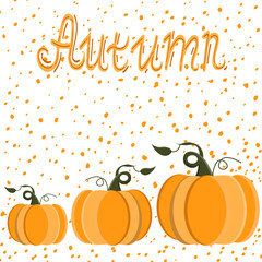 Pumpkins seamless pattern with lettering. Autumn background. Vector.