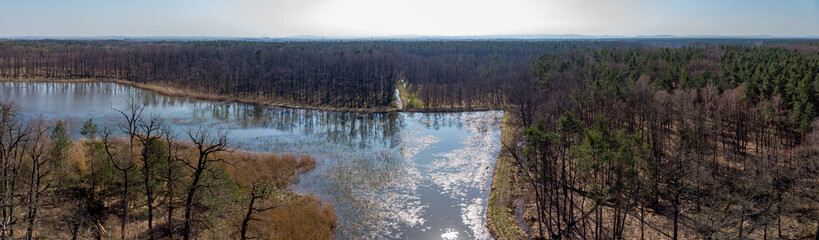 a lake in the forest