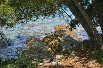 Rocky shore of the sea.