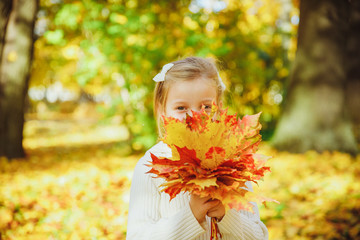 Autumn portrait of cute curly girl.Little funny girl playing with yellow leaves in the forest. Child on a walk in the autumn park. Golden autumn. toddler girl , portrait with bouquet of autumn leaves